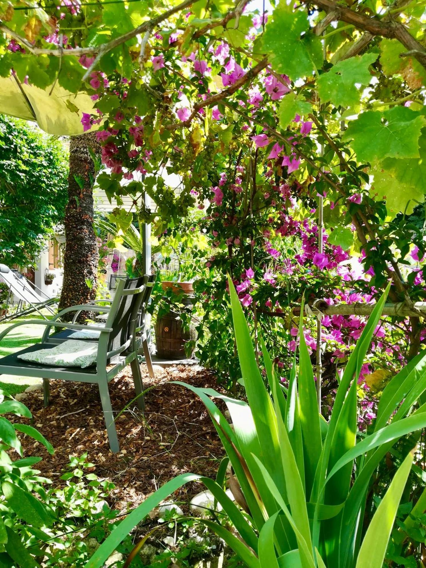 Villa Bellabé Niza Exterior foto