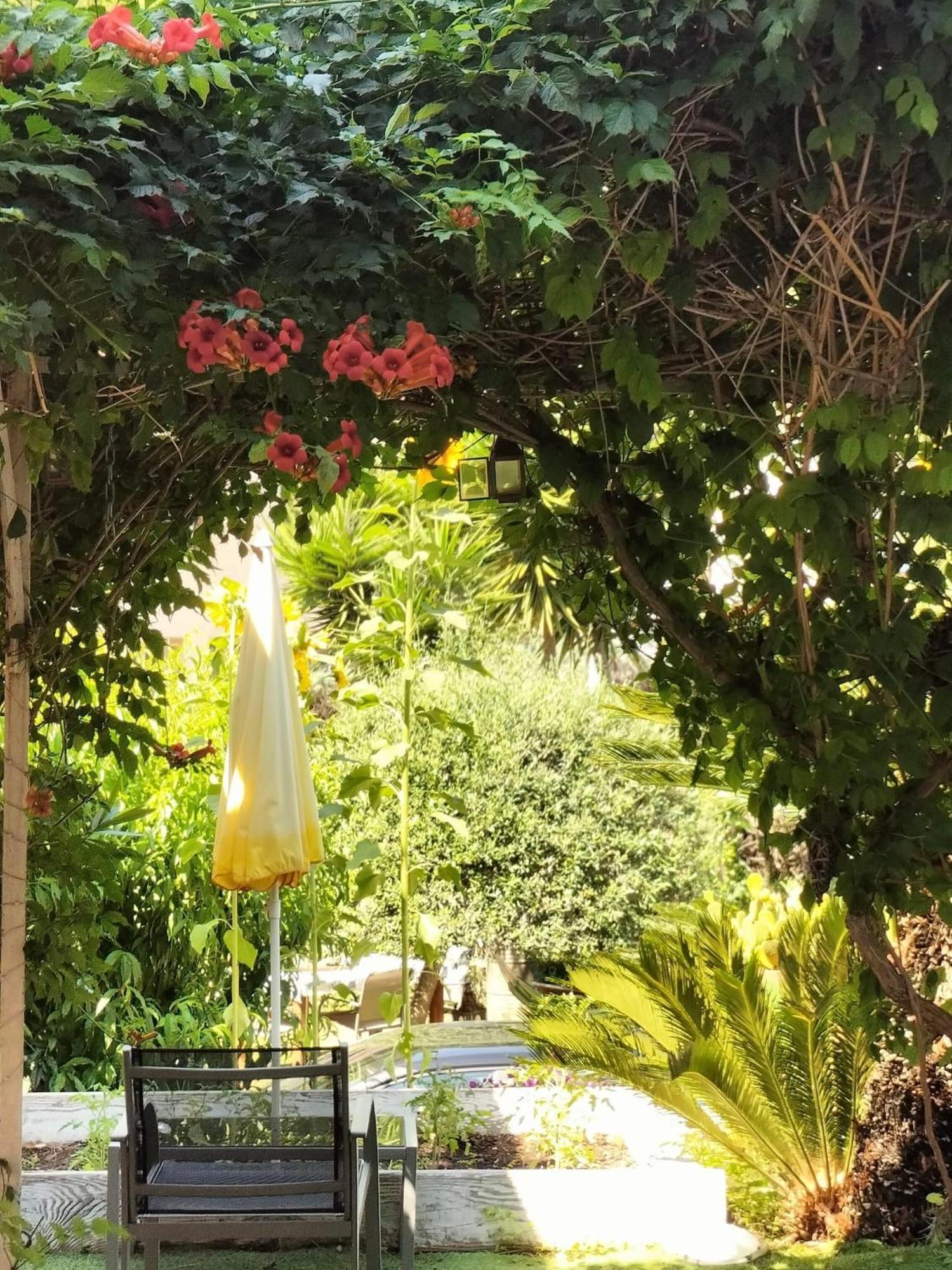 Villa Bellabé Niza Exterior foto